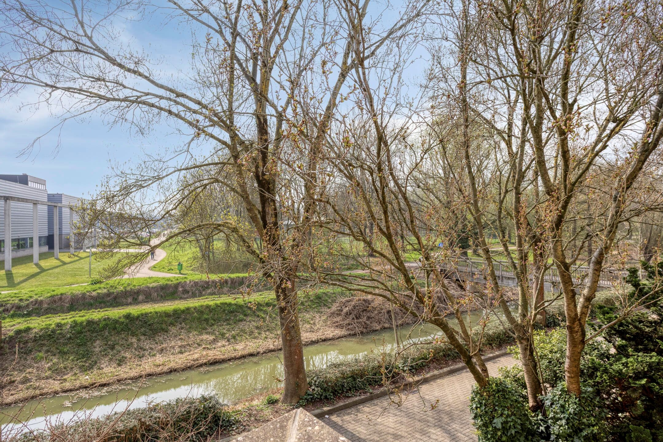 Foto 21 van Bellomontedomein 42