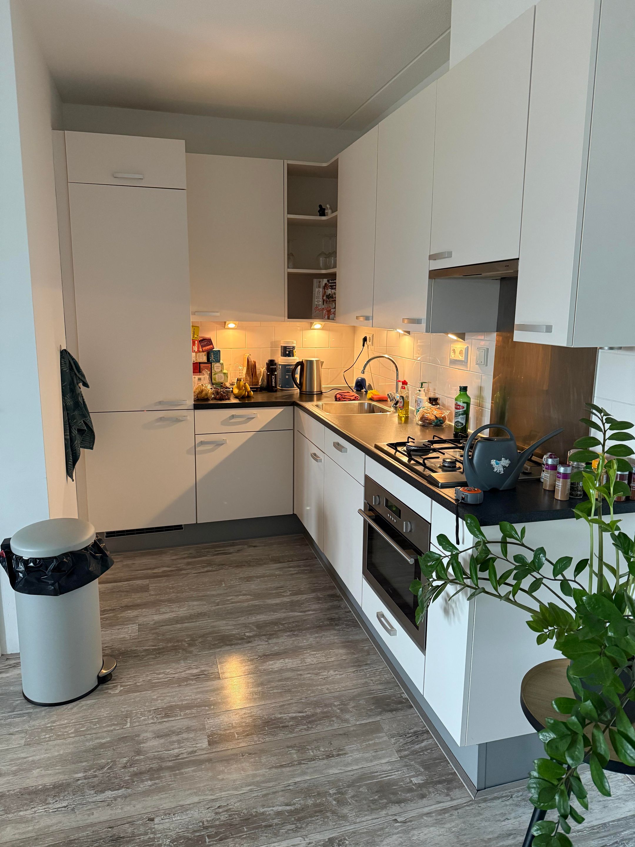 Foto 9 van Prins Bernhardlaan 165