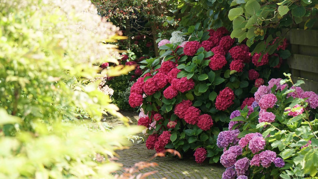 Foto 67 van Westhavendijk 38