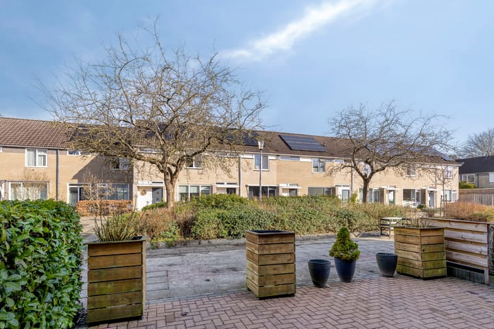 Photo 5 of Noordenveld 20