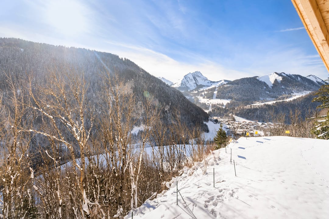 Foto 76 van AlpChalets Portes du Soleil Chalet E