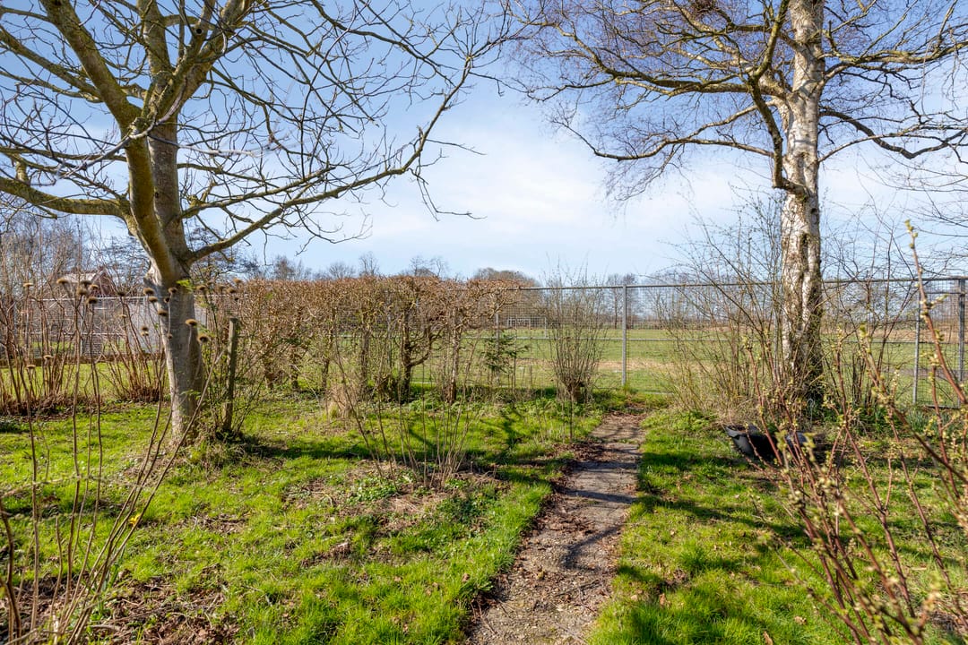 Photo 38 of Noorderweg 26