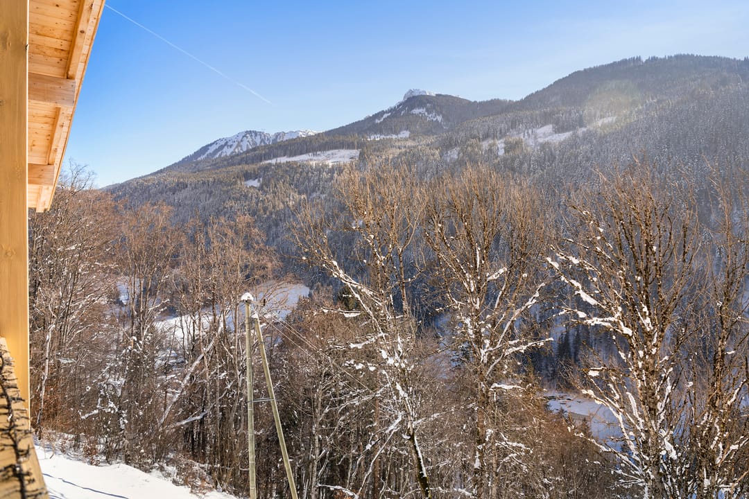 Foto 73 van AlpChalets Portes du Soleil Chalet E