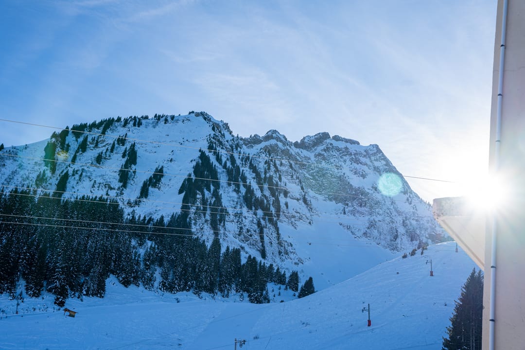 Foto 88 van AlpChalets Portes du Soleil Chalet E