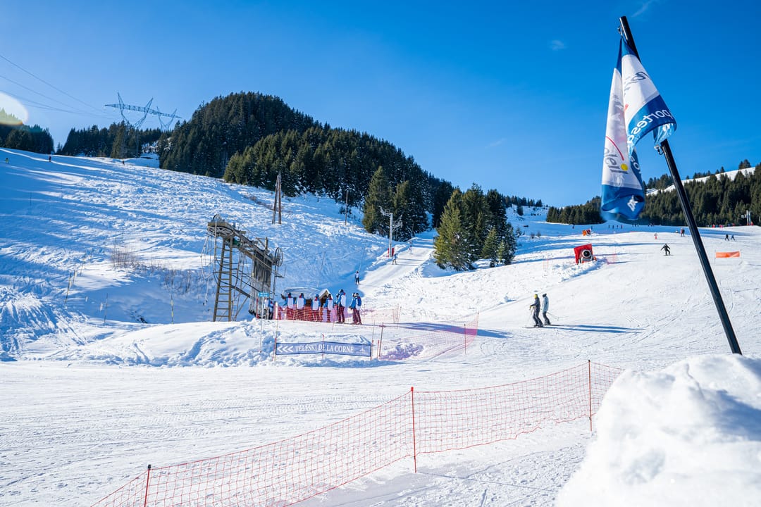 Foto 92 van AlpChalets Portes du Soleil Chalet E