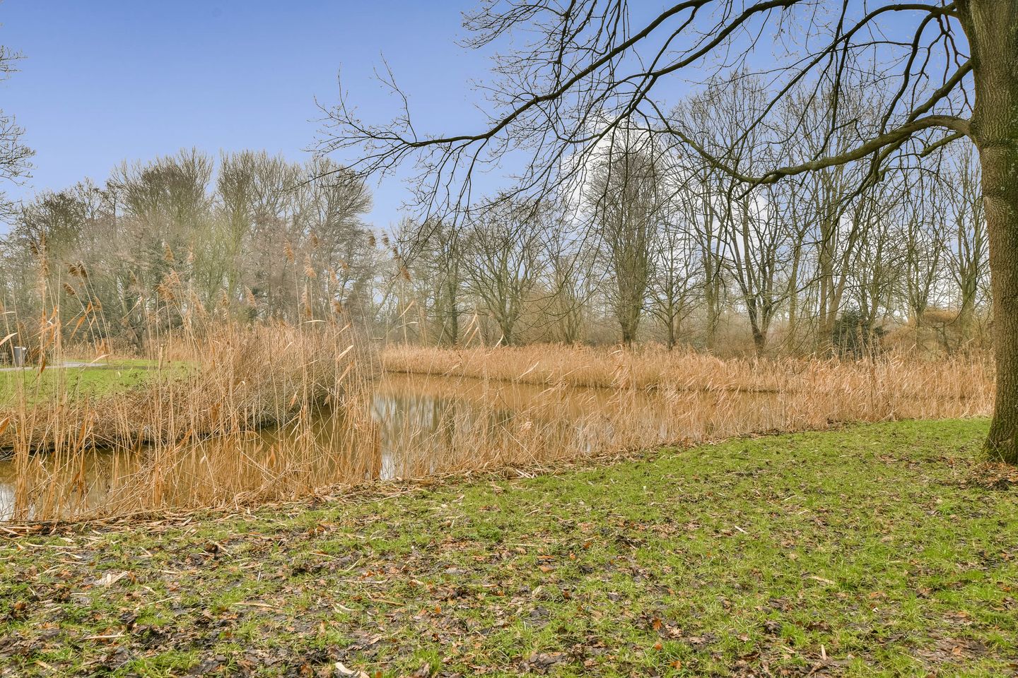 Photo 35 of Kousenbandstraat 32