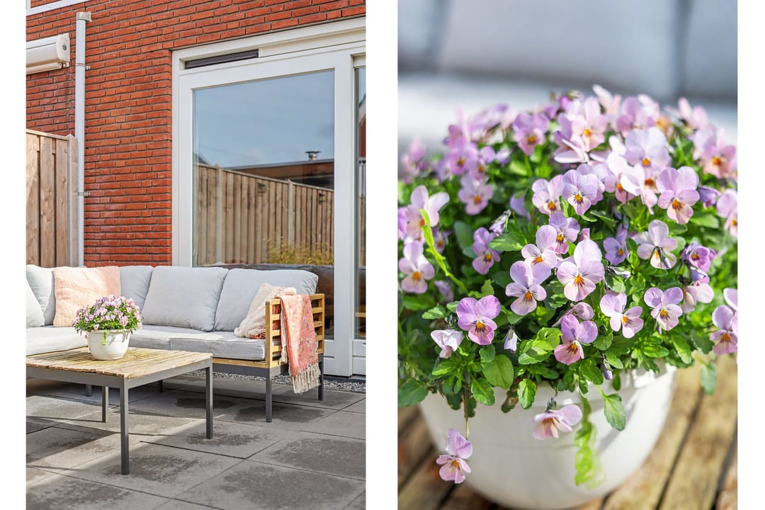 Photo 31 of Philip van Dijkhof 19