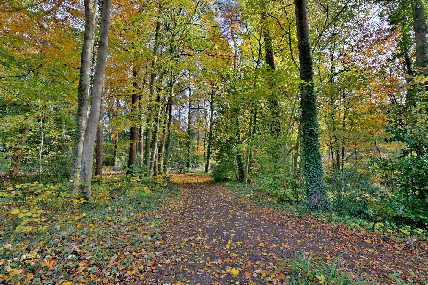 Foto 44 van Huzarenlaan 7