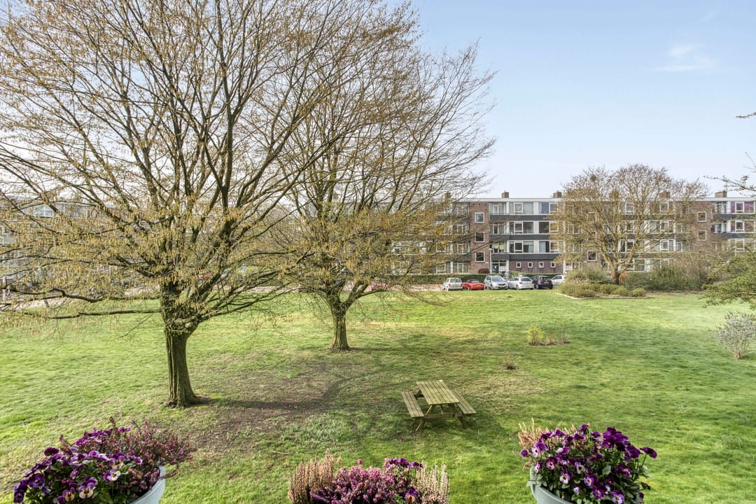 Foto 11 van Ruusbroecstraat 165