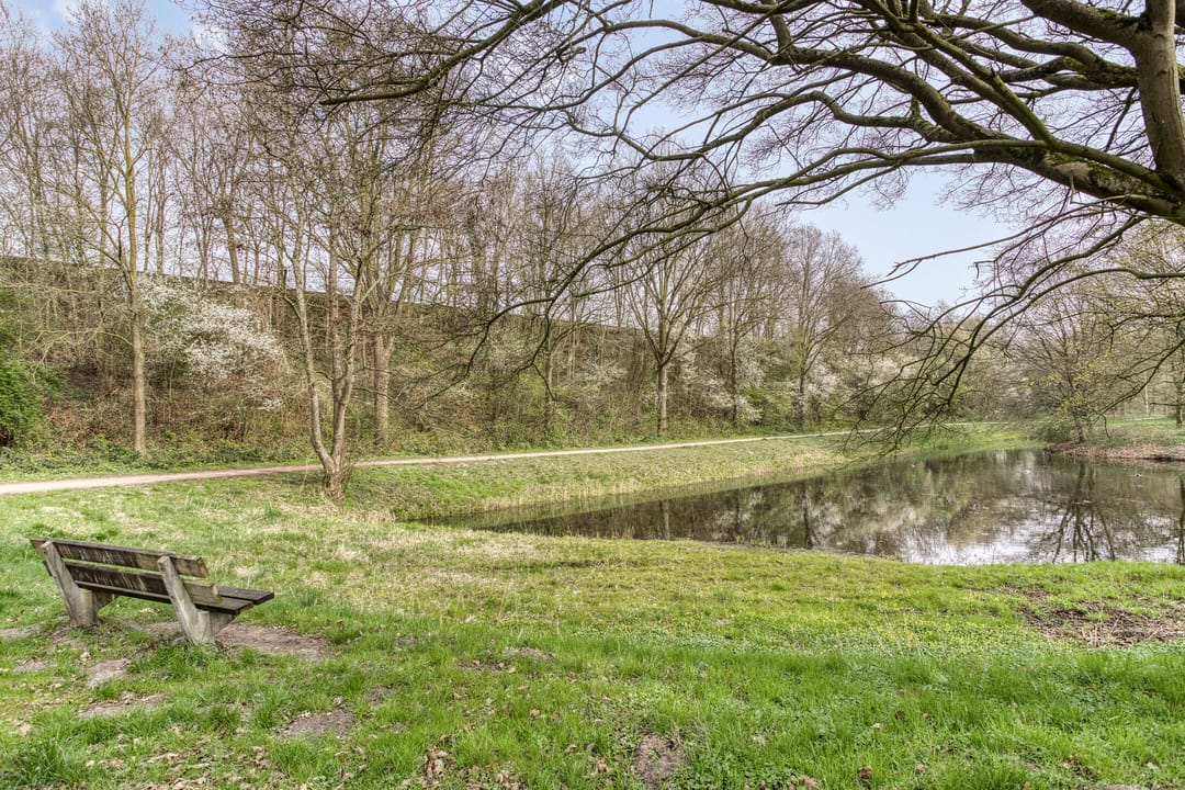 Foto 17 van Ruusbroecstraat 165