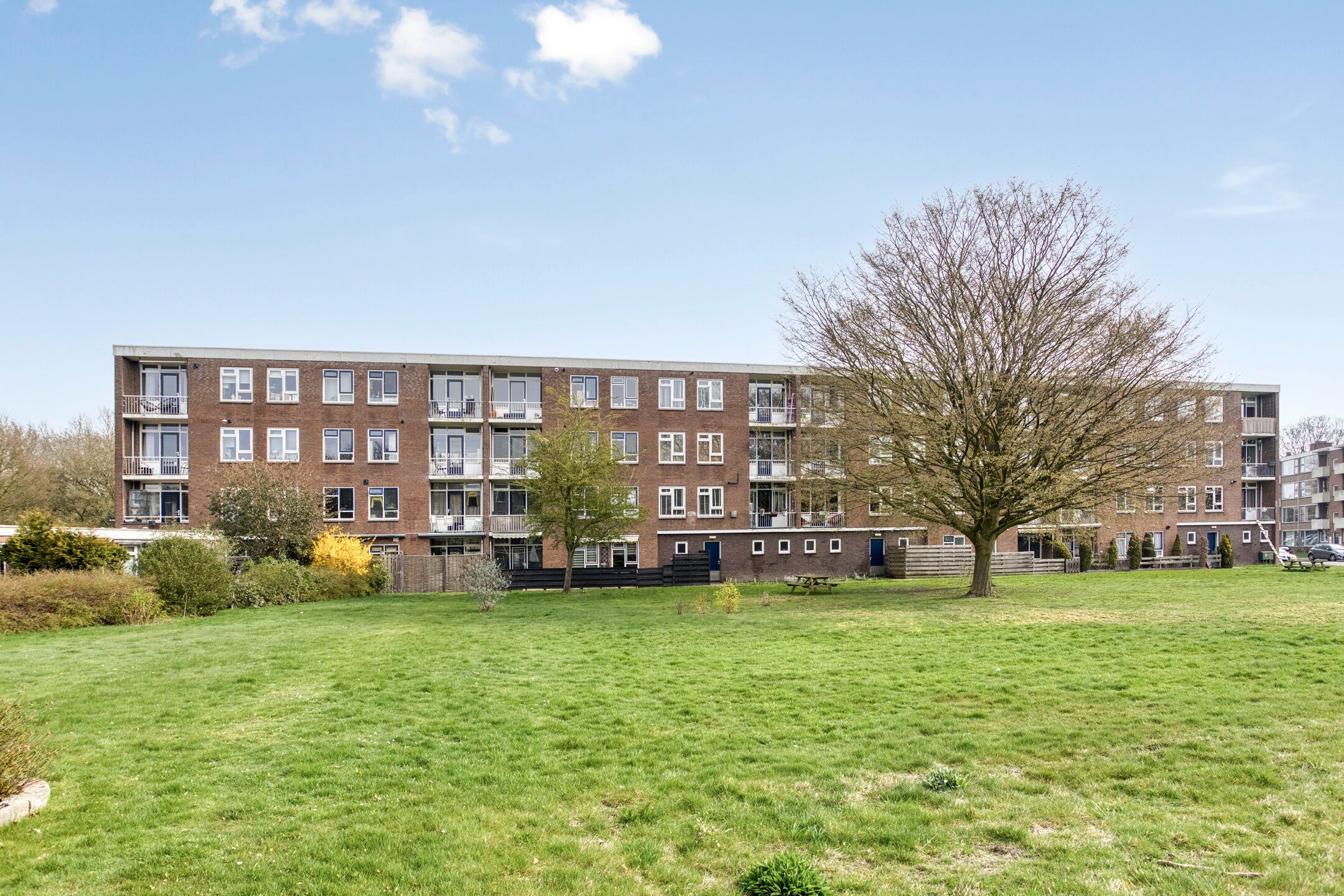 Foto 39 van Ruusbroecstraat 165