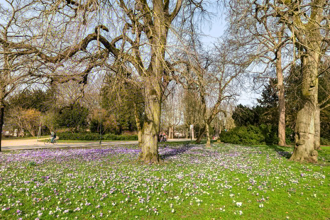 Photo 26 of Grote Kruisstraat 21