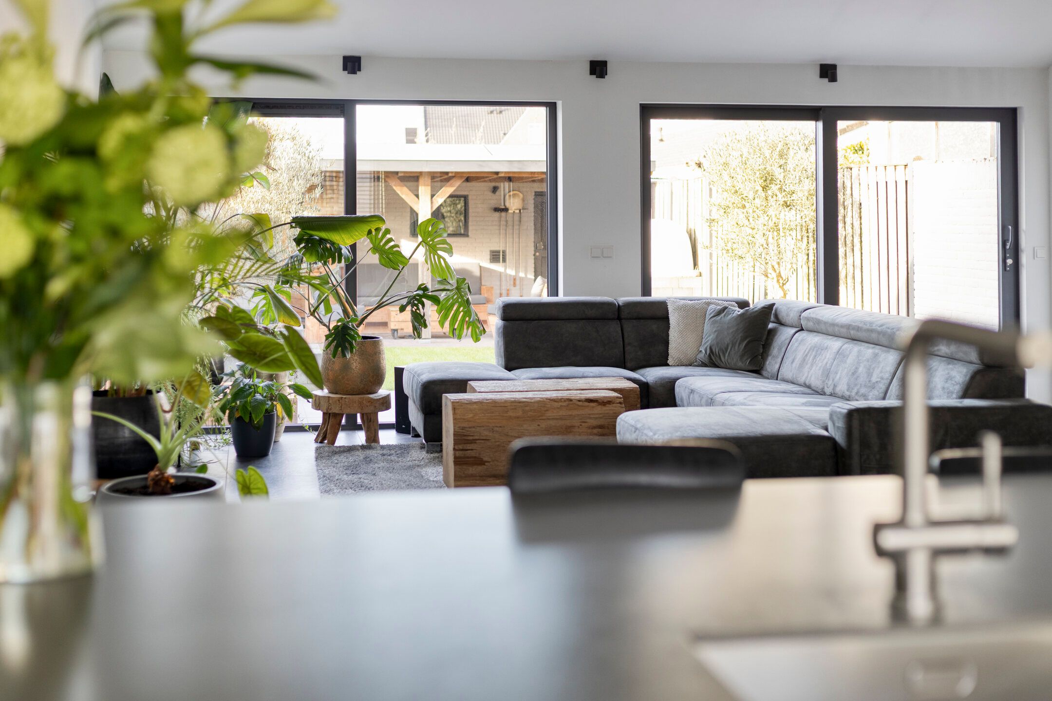 Foto 24 van Rode Schouw 70