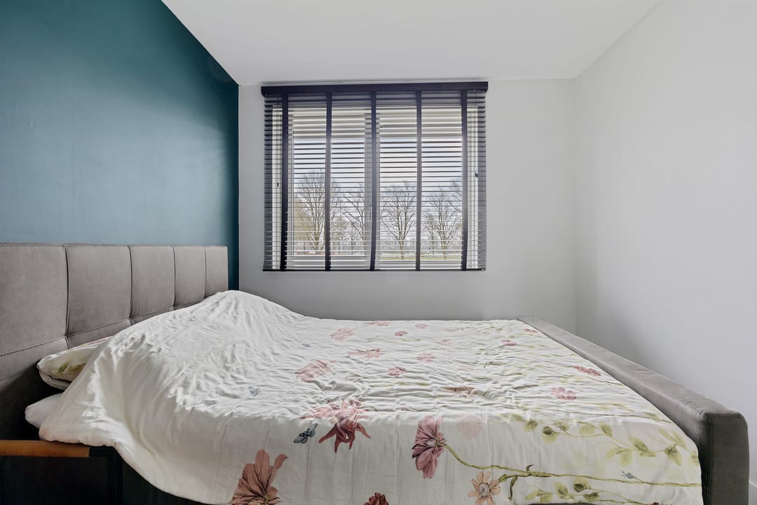 Foto 26 van Planeet 23