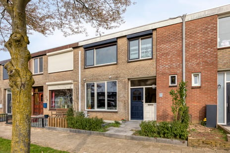 Robijnlaan thumbnail