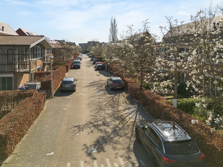 Foto 2 van Pijlstaartvlinder 32