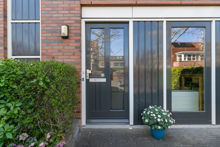 Foto 3 van Pijlstaartvlinder 32