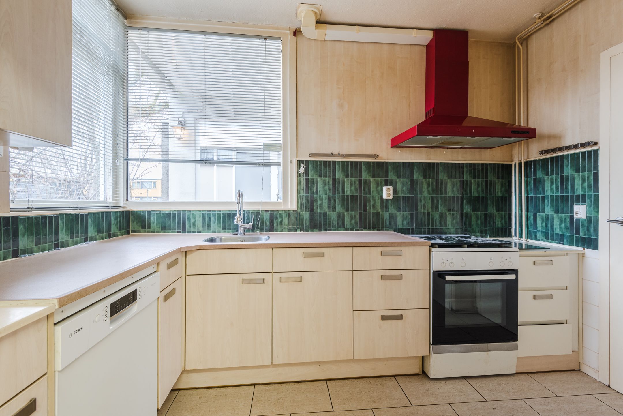 Photo 12 of Kempenaar 09 73