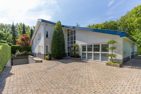 Van Driellaan thumbnail