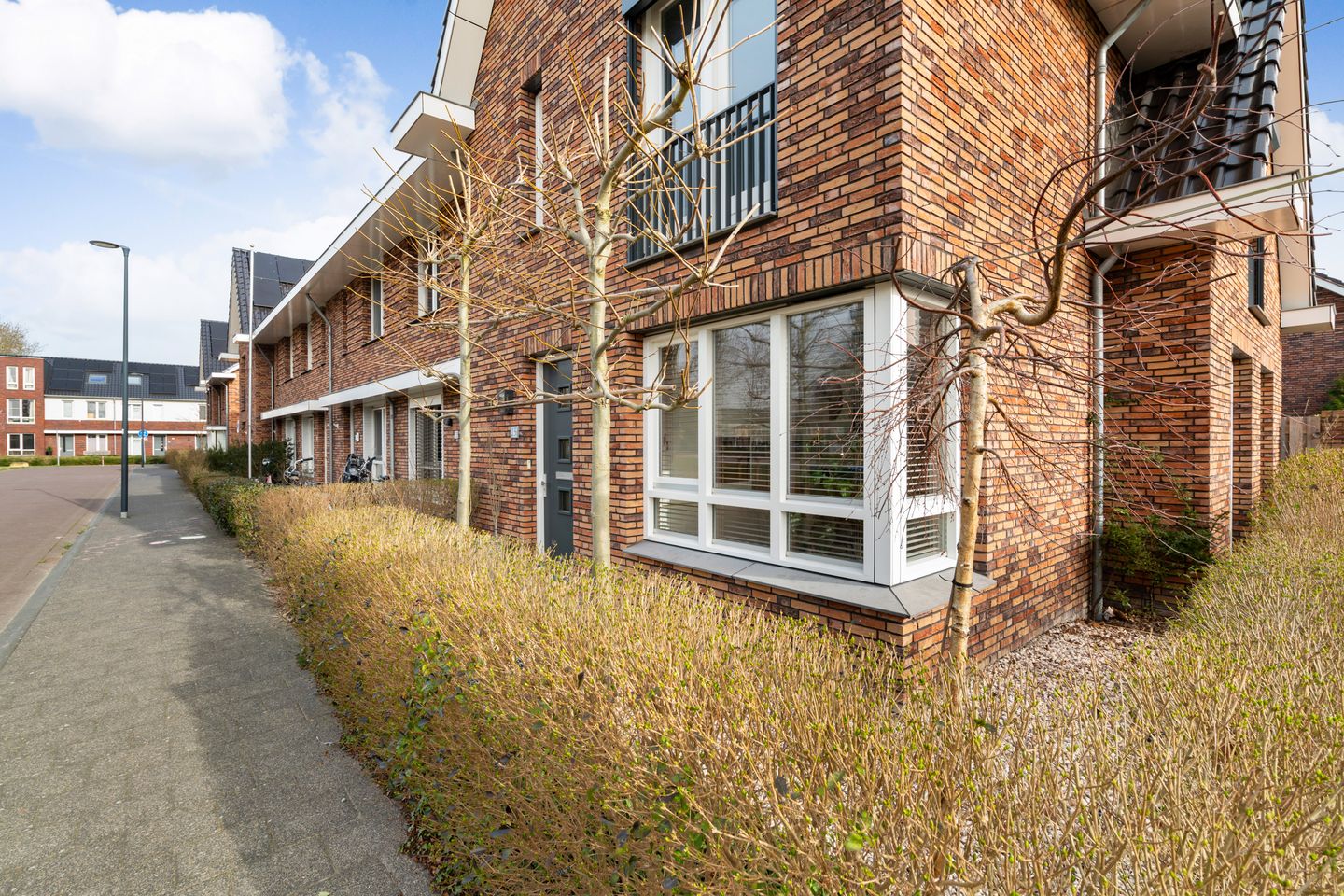 Foto 4 van Pieter Lieftinckstraat 15