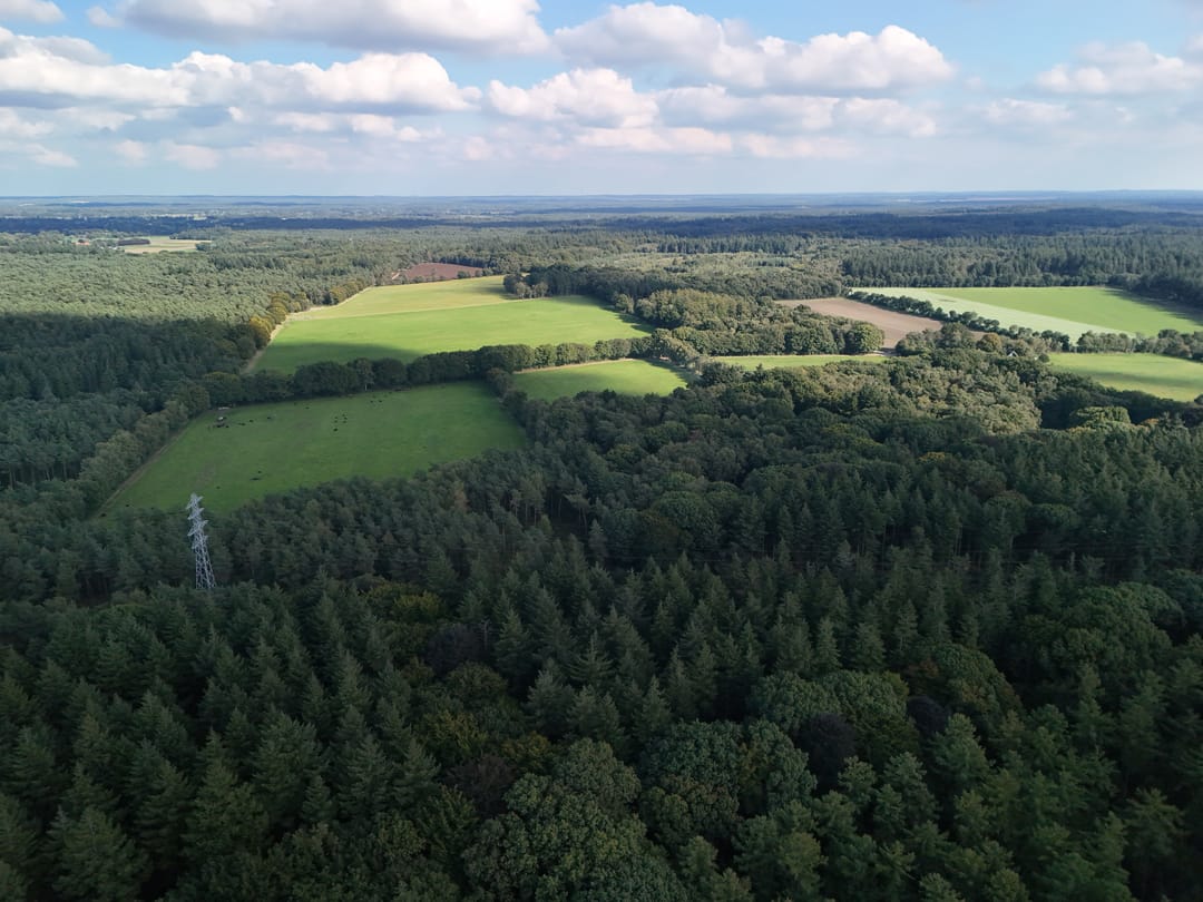 Foto 41 van Immenweg 15-R623