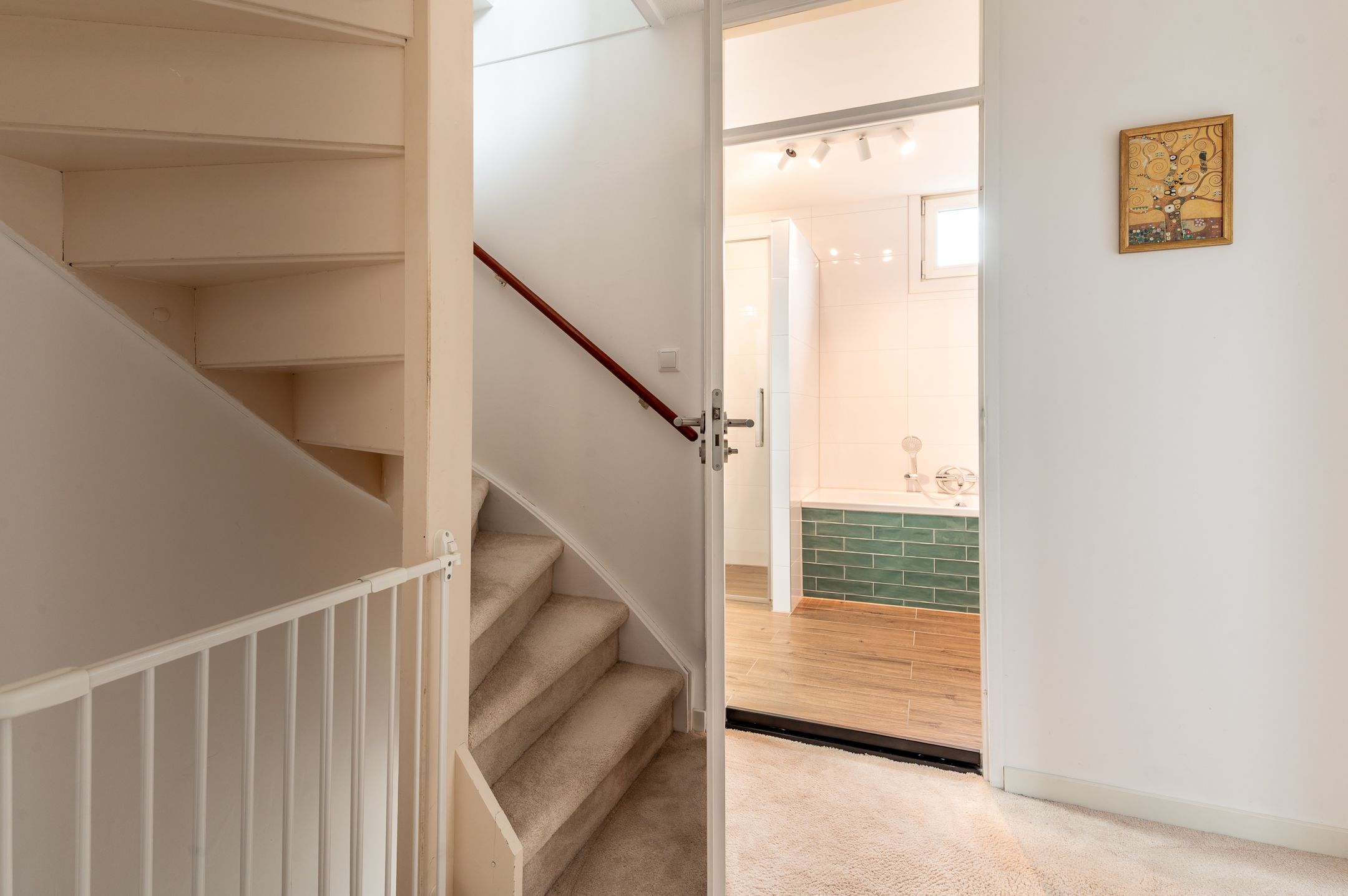 Foto 24 van Bruinvispad 27