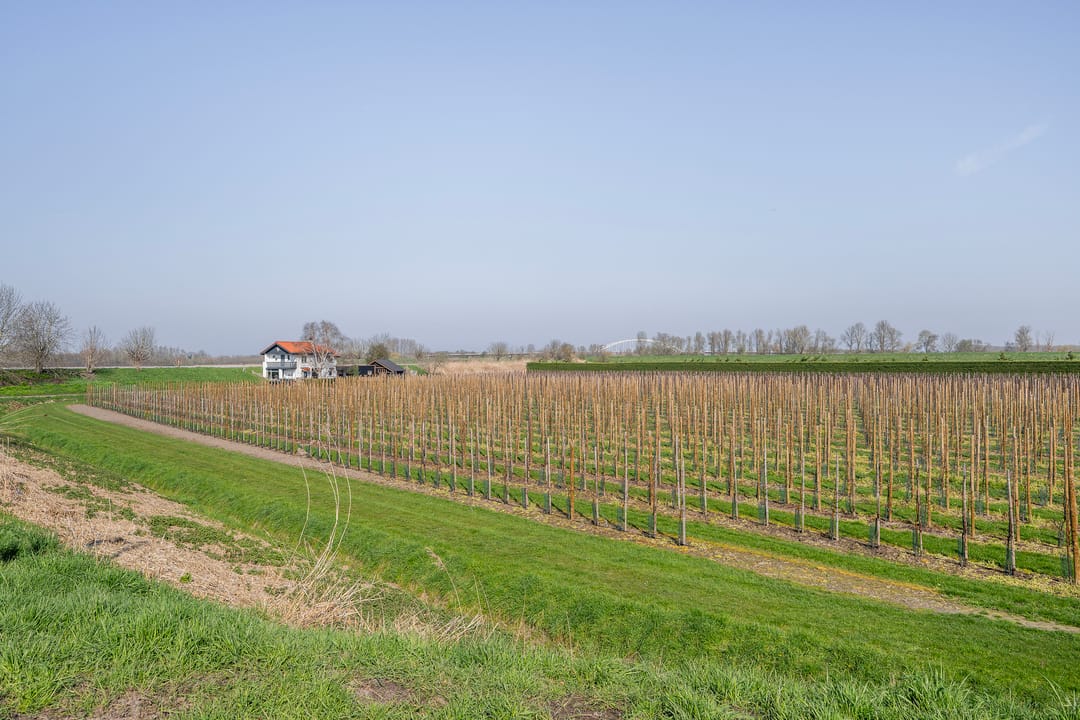 Foto 61 van Veerstraat 4