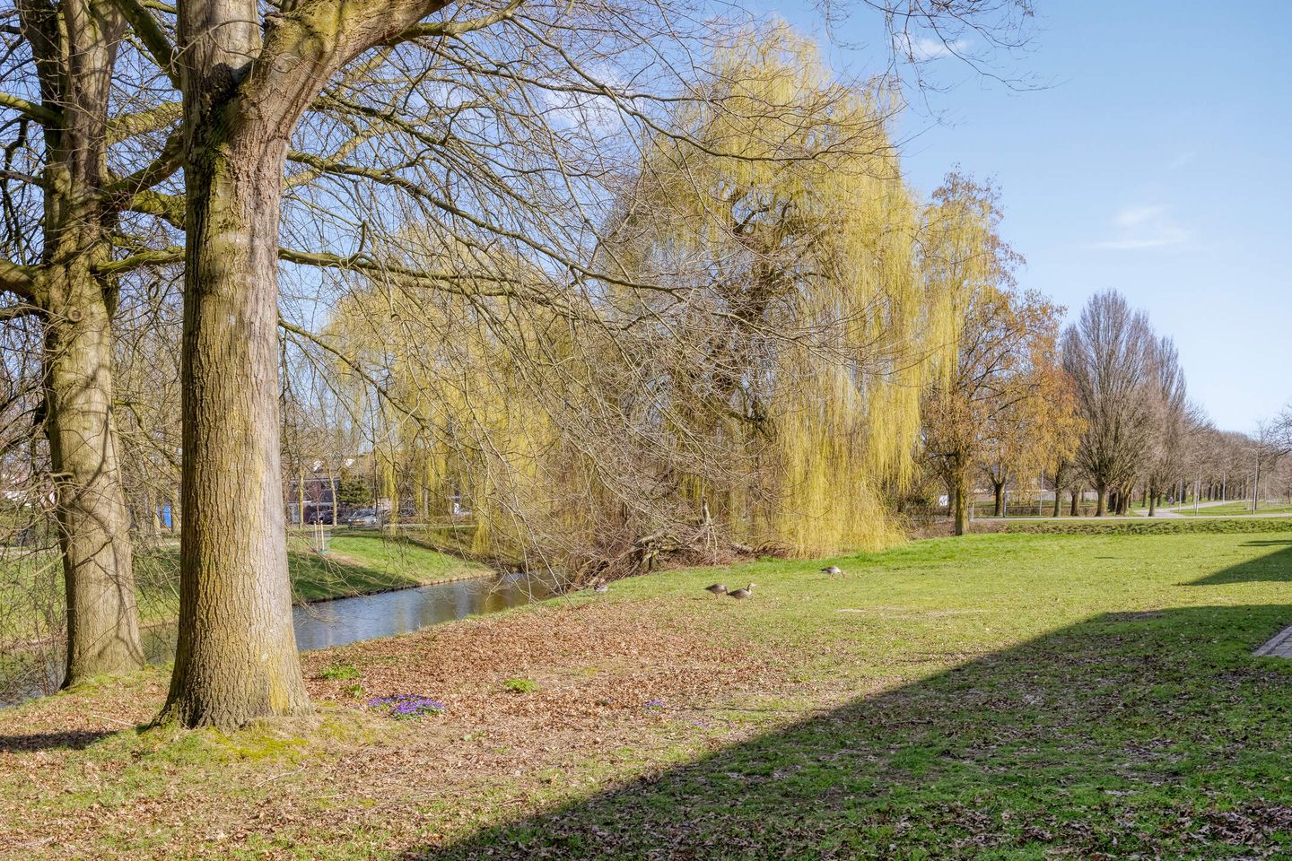 Photo 25 of Leuvensbroek 1928