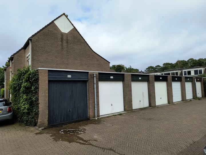 Foto 5 van Laan van de Mensenrechten 218