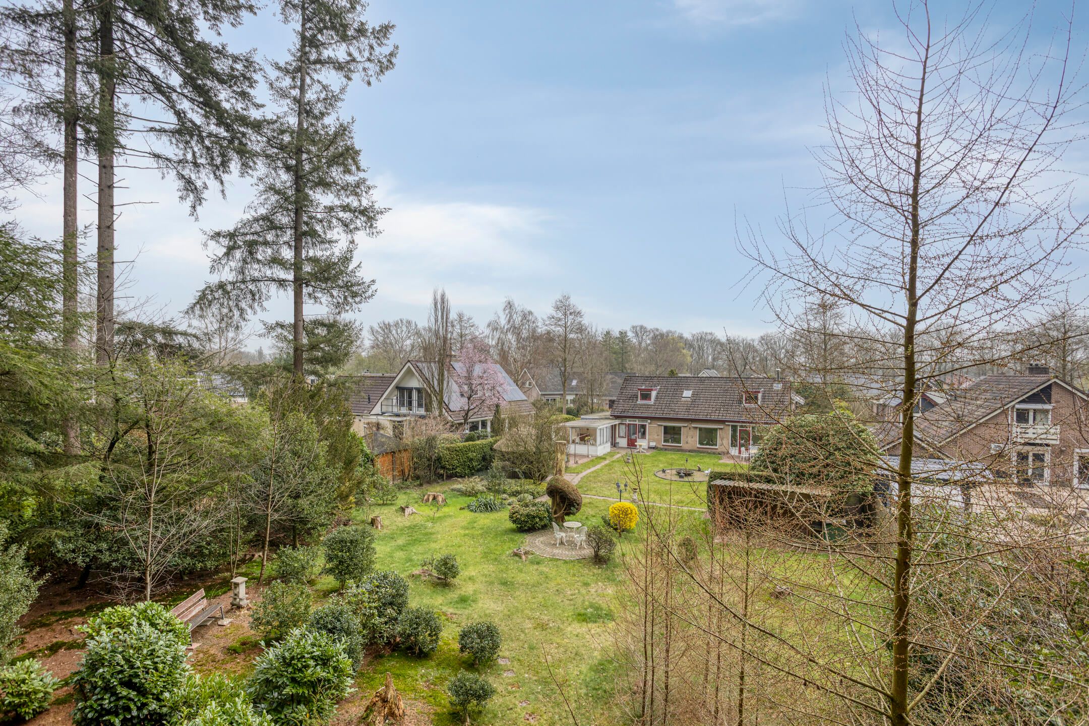 Foto 3 van Bosbouwkamp 29