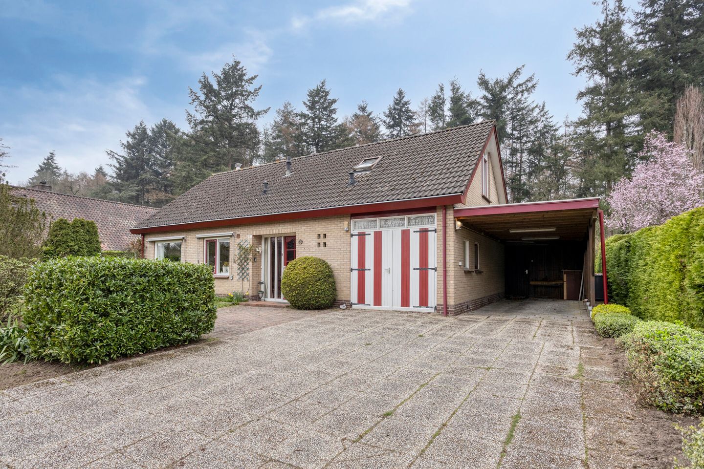 Foto 4 van Bosbouwkamp 29