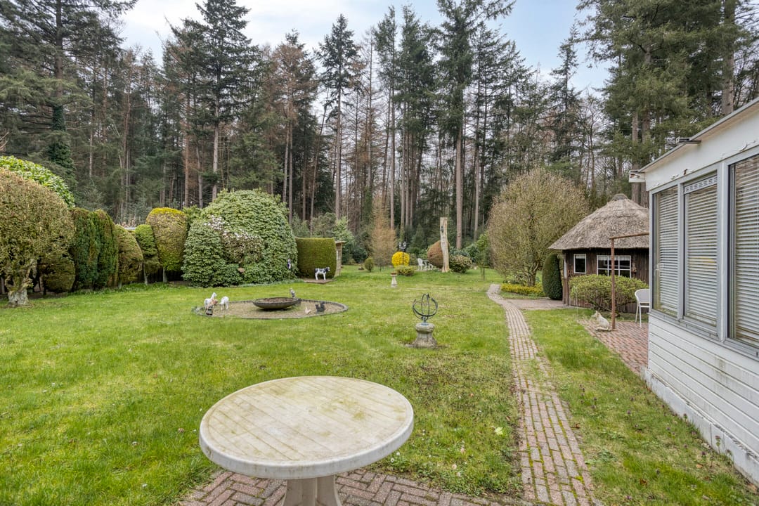 Foto 26 van Bosbouwkamp 29