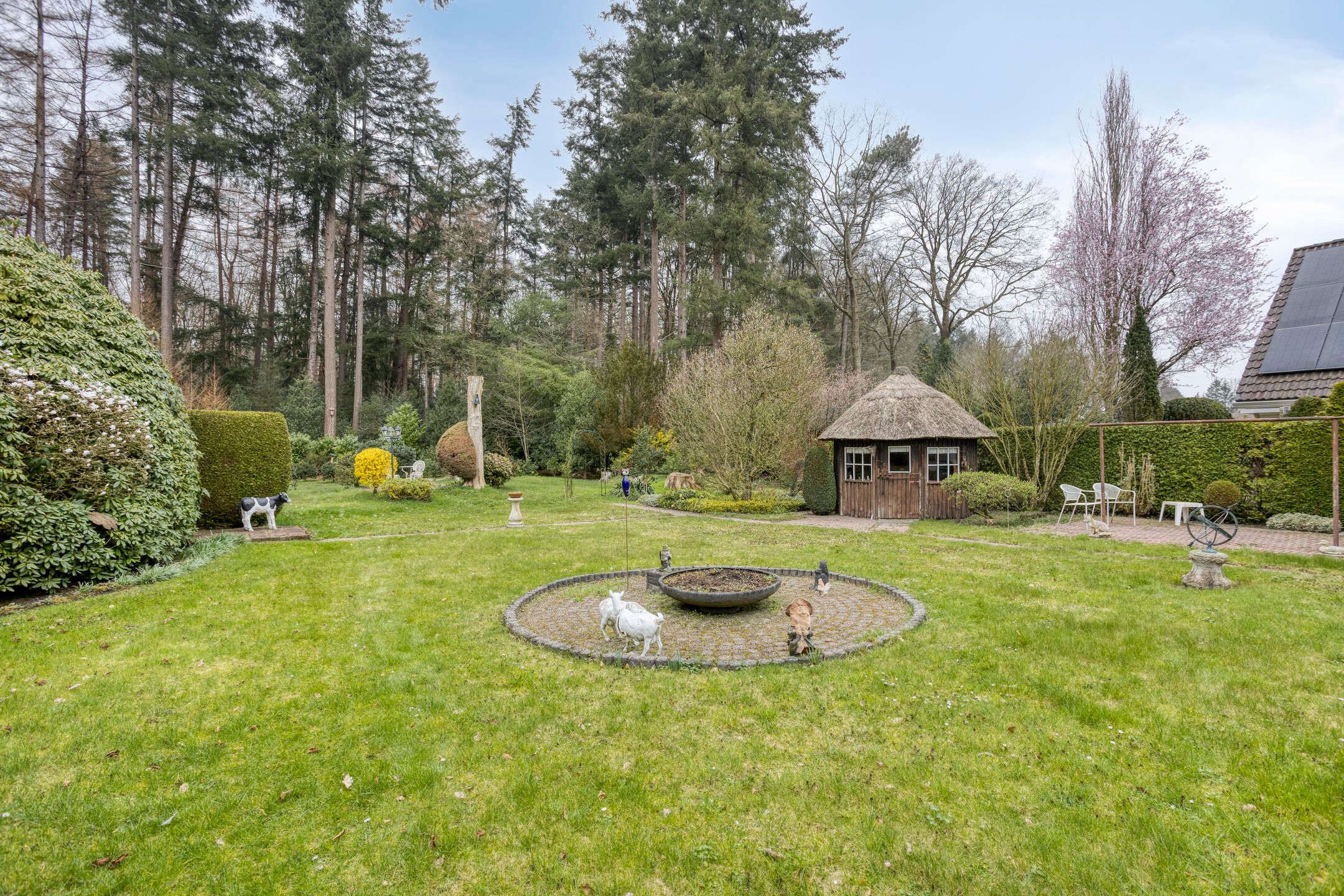 Foto 30 van Bosbouwkamp 29