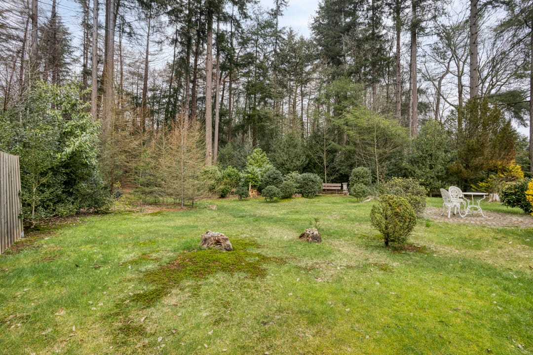 Foto 31 van Bosbouwkamp 29