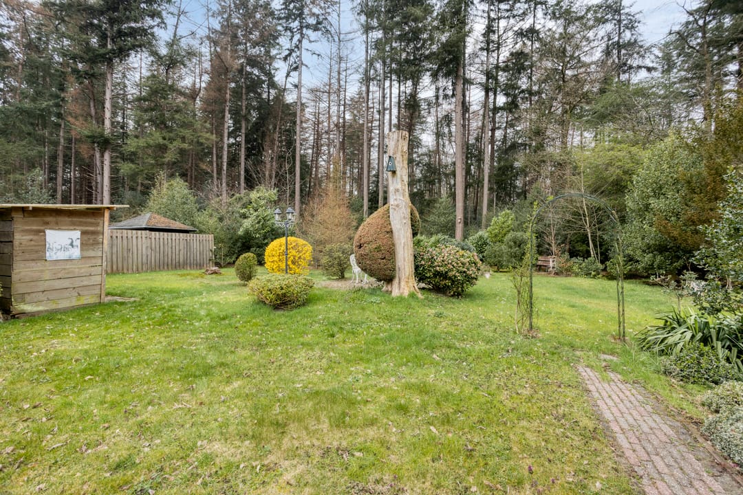 Foto 32 van Bosbouwkamp 29