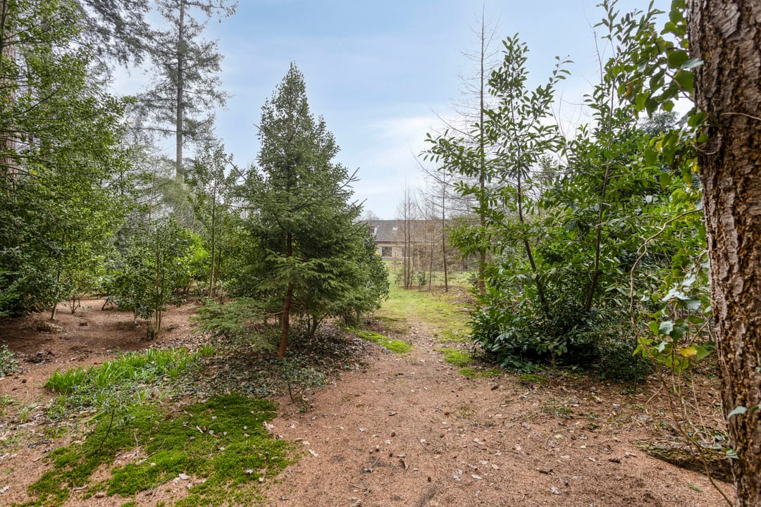 Foto 41 van Bosbouwkamp 29