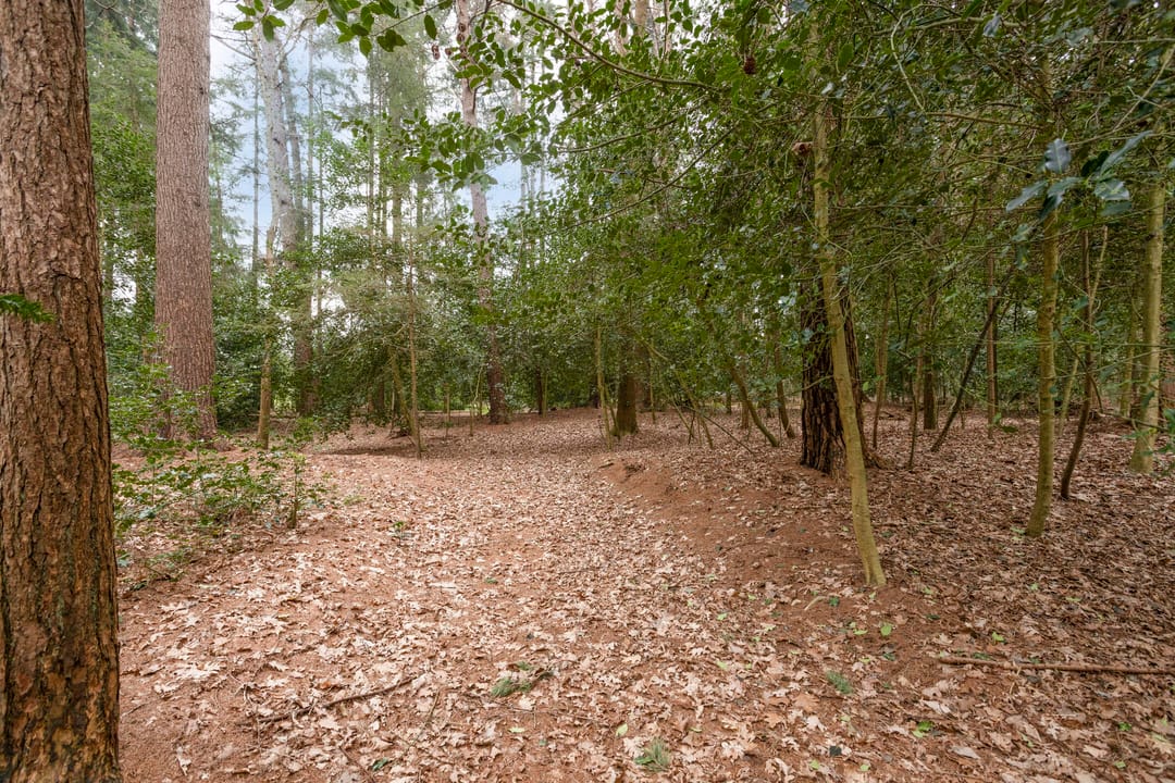 Foto 43 van Bosbouwkamp 29