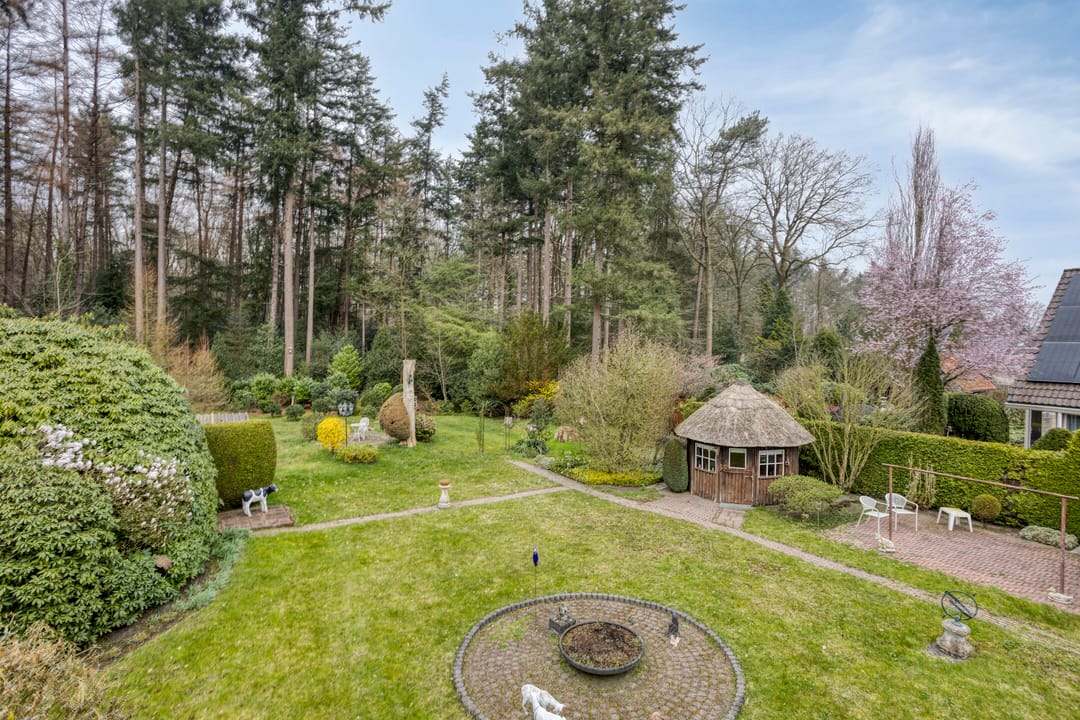 Foto 28 van Bosbouwkamp 29