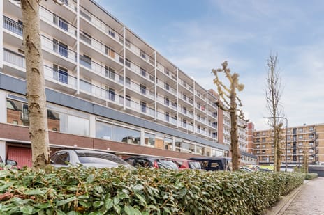 Wijckermolen thumbnail