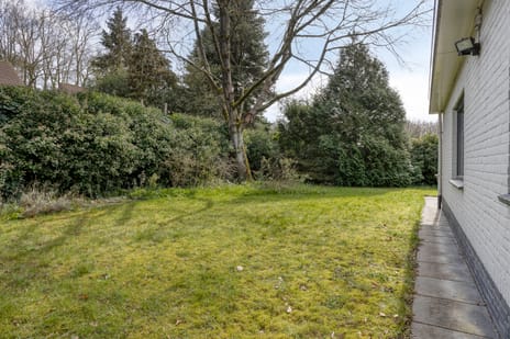 Haydnstraat 6 tertiary image