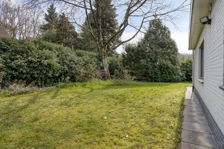 Foto 3 van Haydnstraat 6