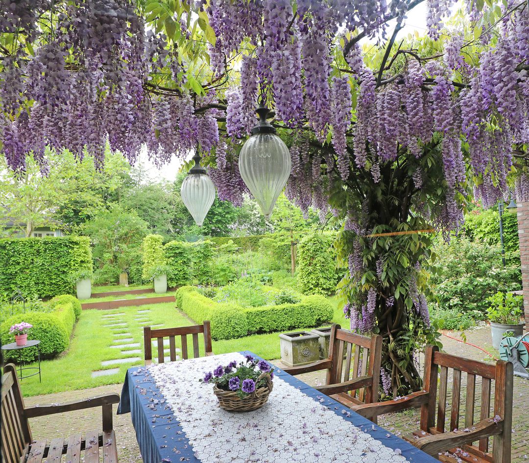 Photo 43 of Kemperweg 5