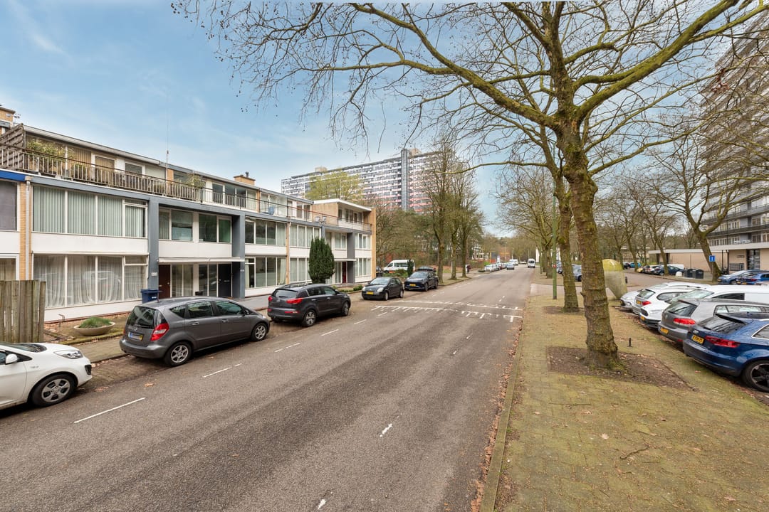 Foto 7 van Laan van Vollenhove 806