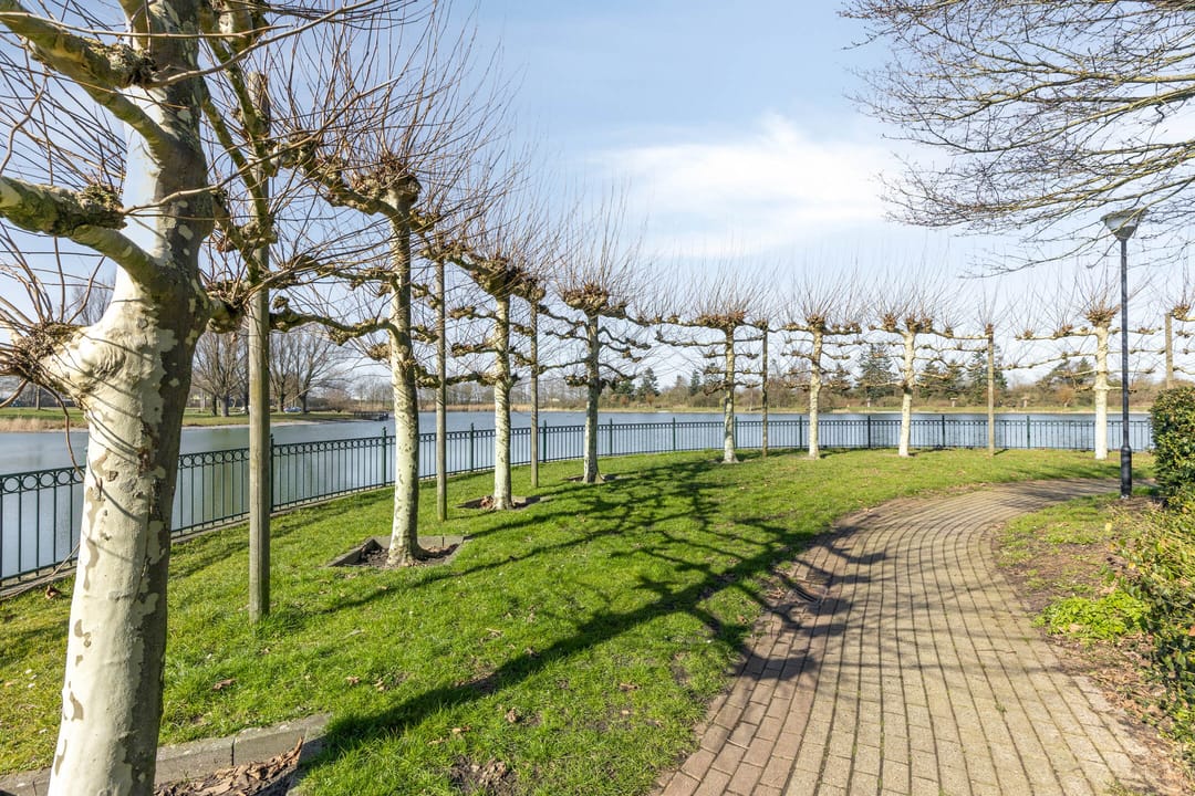 Photo 47 of Laurierberg 61