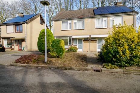 undefined main image