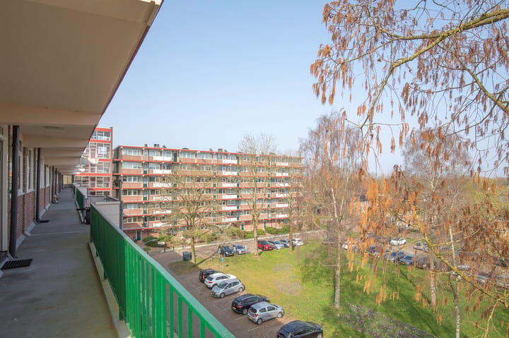Foto 4 van van der Scheerstraat 99