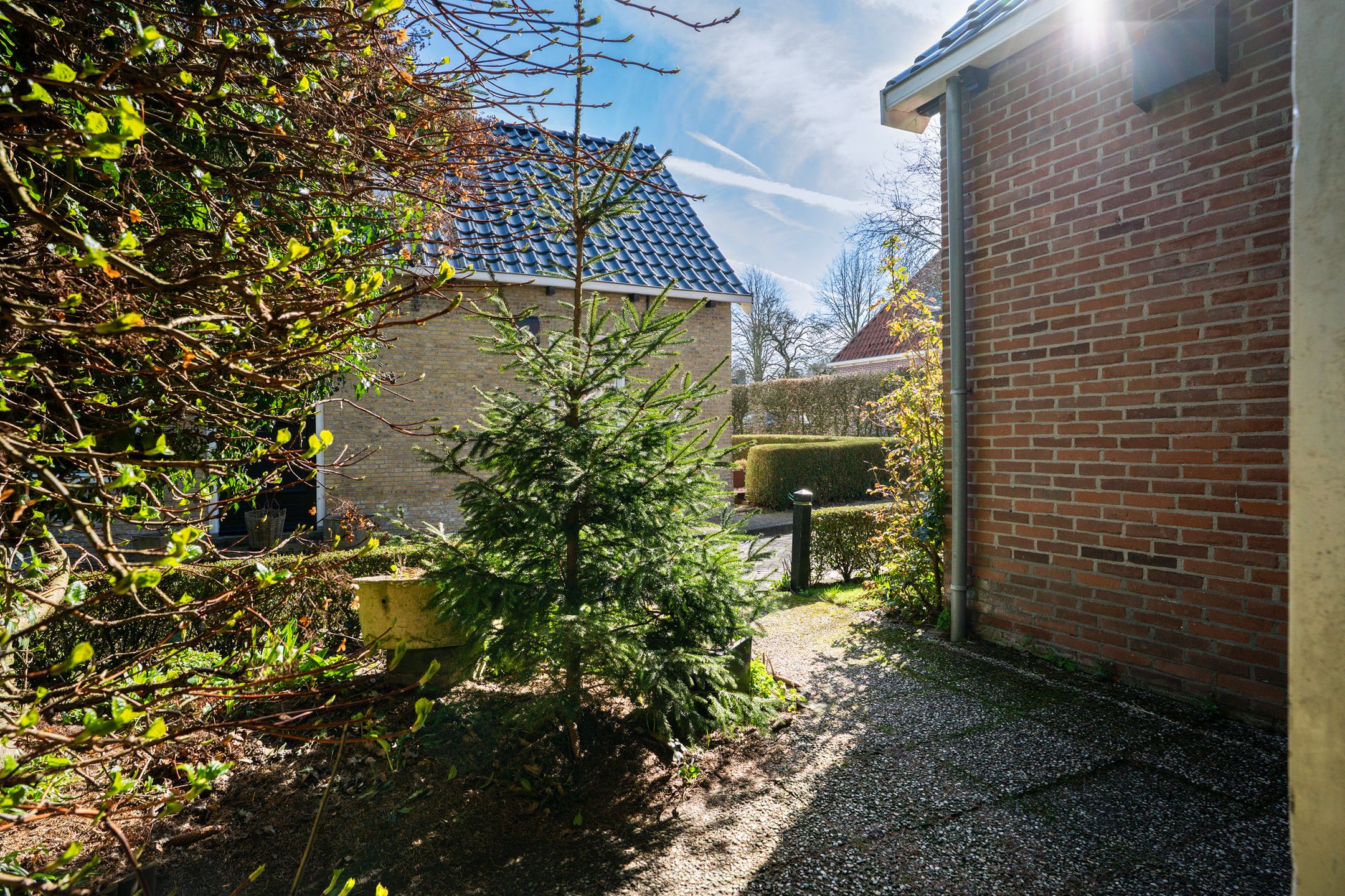 Foto 33 van Binnenbuorren 9