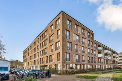 Suze Robertsonstraat thumbnail