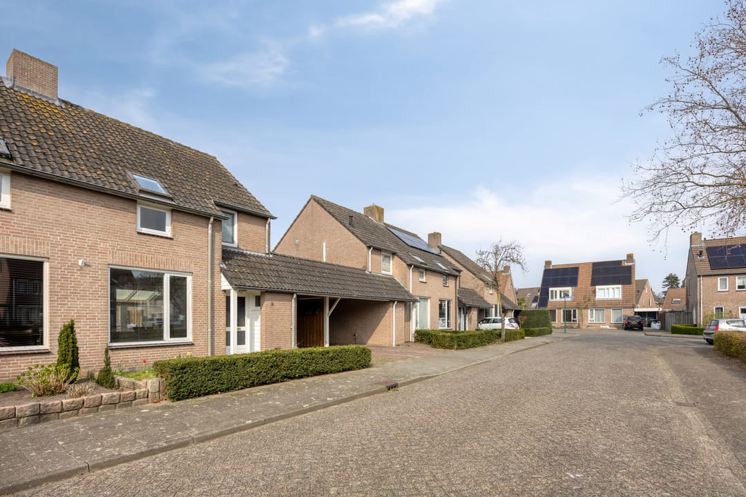 Foto 2 van Tarweakker 3