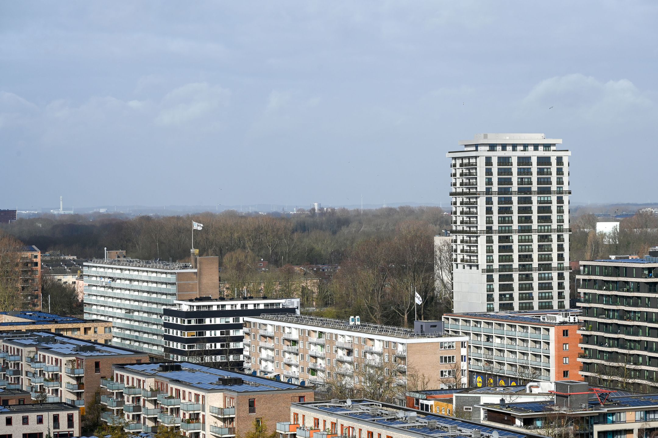 Foto 18 van Nachtwachtlaan 122